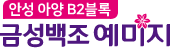 안성 금성백조 예미지